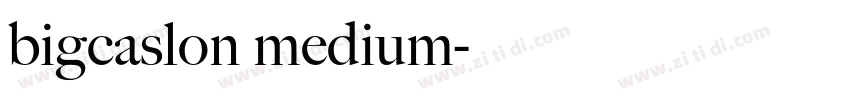 bigcaslon medium字体转换